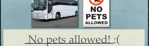 Can we take dogs or cats on a coach? We get this a lot...