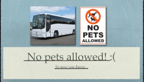 Can we take dogs or cats on a coach? We get this a lot...